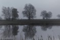 /album/kop-van-overijssel/img-0263-2-jpg/